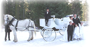 Horse and carriage photo